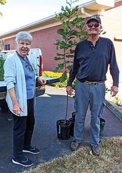 Franciscan Sister Joan Miller and Kenny Zauss prepare to plant trees on the grounds of St. Vincent de Paul Parish in Shelby County, where she is the parish life coordinator and he is a member. (Submitted photo)