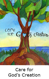 Care for God's Creation